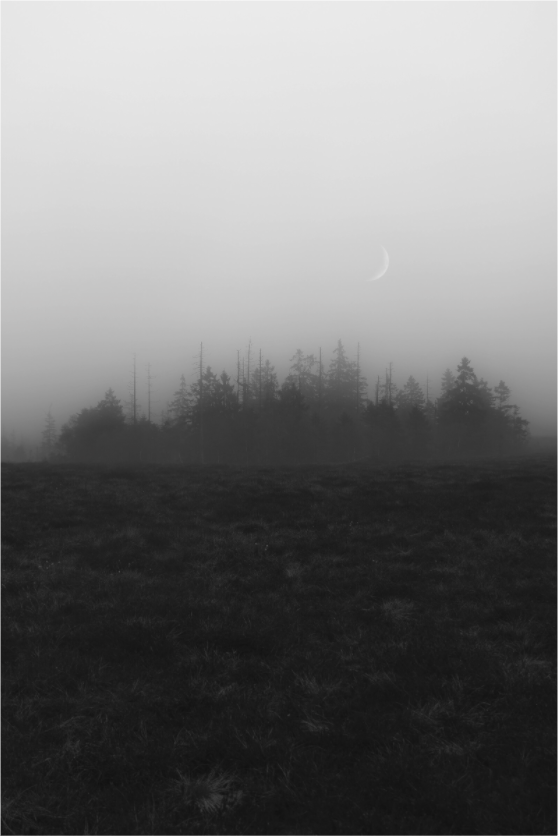 Main image Island of Silence