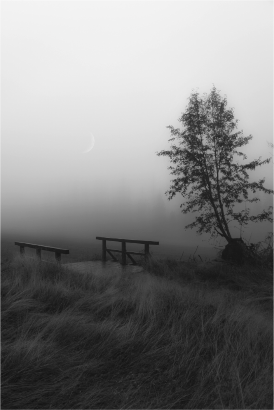 Main image Waiting for Silence