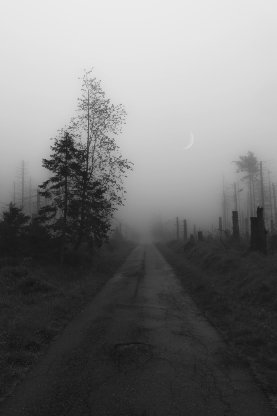 Main image Vanishing Point