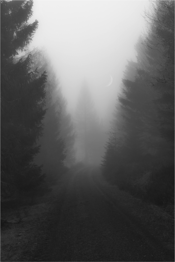 Main image The Road Beyond
