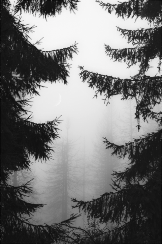 Main image The Veil