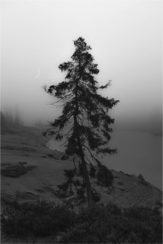 Main image The Sentinel