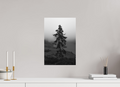 30 x 45 cm, Posters The Sentinel