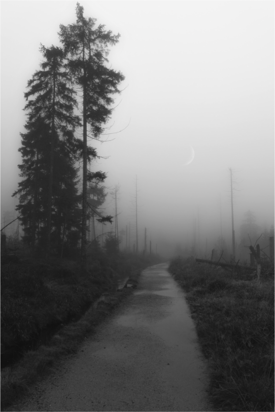 Main image Into Silence