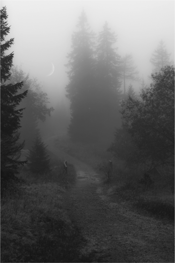 Main image The Last Path